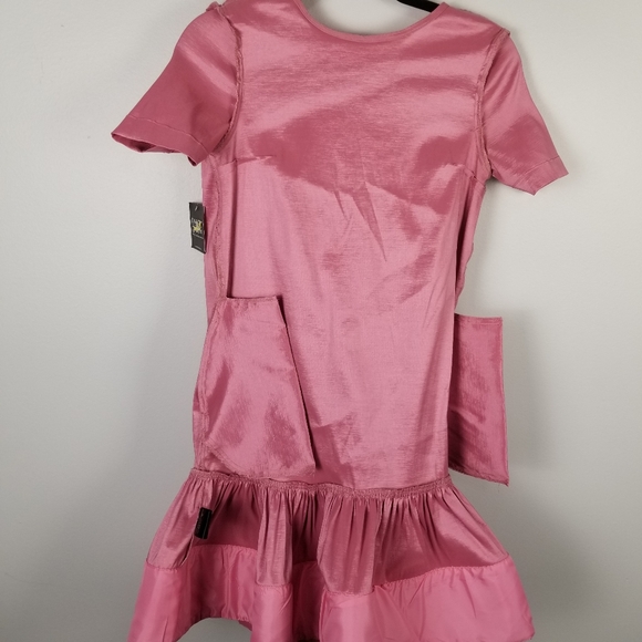 Kimberly Goldson Brianna Pink Satin Ruffle Hem Mini Dress Size XS NWT - Picture 11 of 11